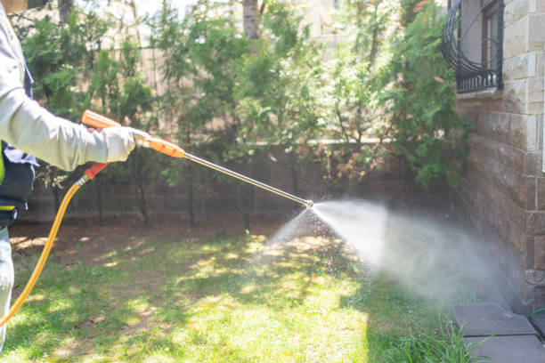 Best Affordable Pest Control Services  in Mulvane, KS