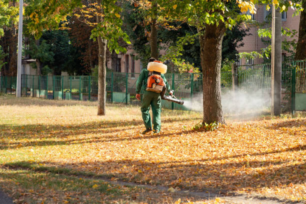 Best Exterminator Services  in Mulvane, KS