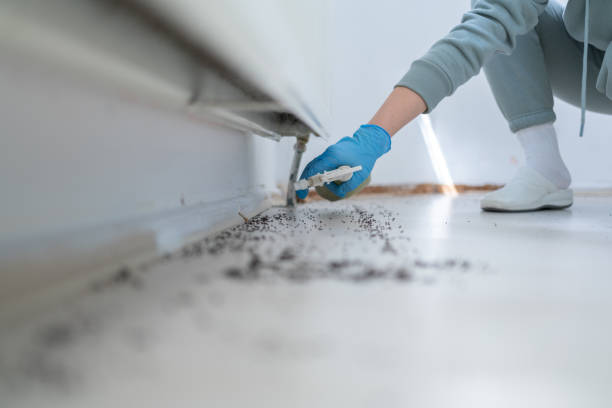 Best Bed Bug Extermination  in Mulvane, KS