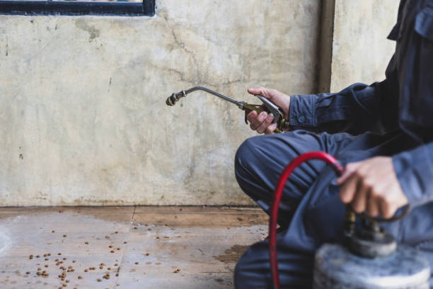 Best Rat Extermination Near Me  in Mulvane, KS